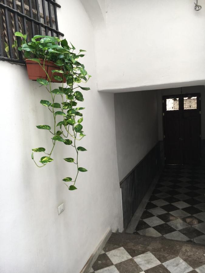 La Casa Sul Mercato Antico Palermo Kültér fotó